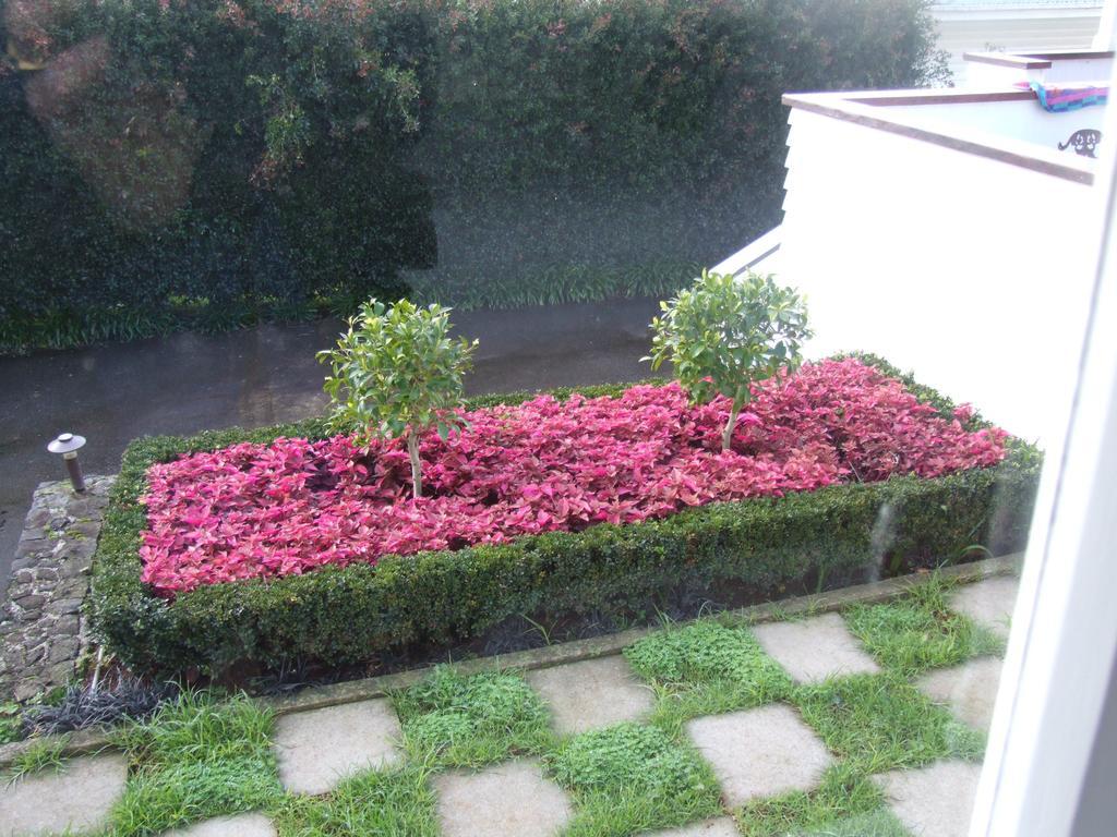 The Quiet Quarter Bed & Breakfast Auckland Oda fotoğraf